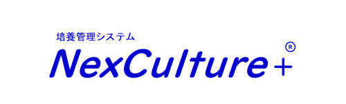Your Company